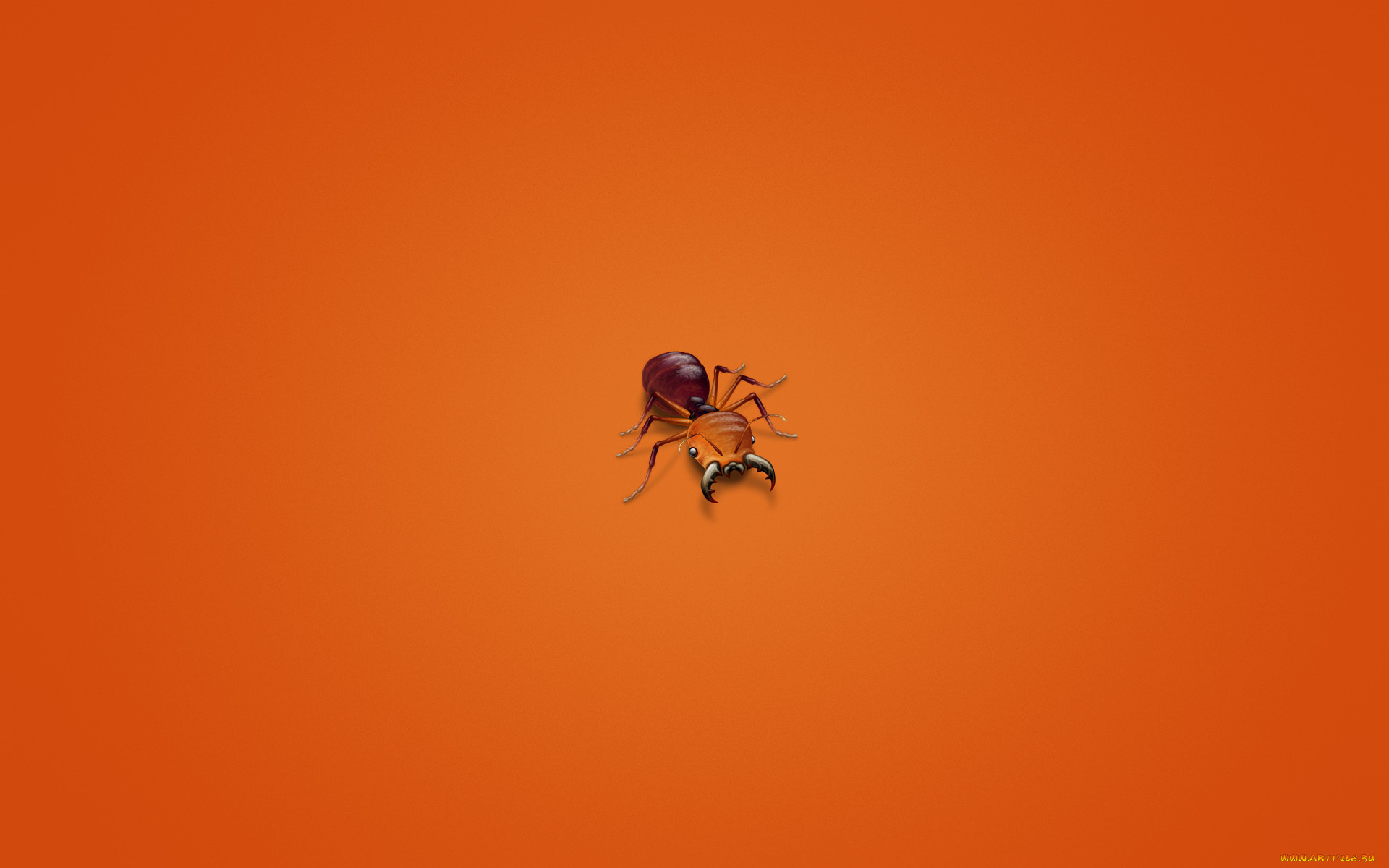 , , , , , , ant
